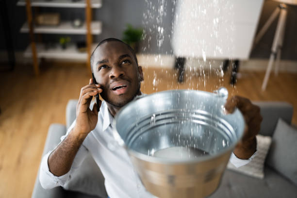 Best Water damage repair service  in Woodland, CA