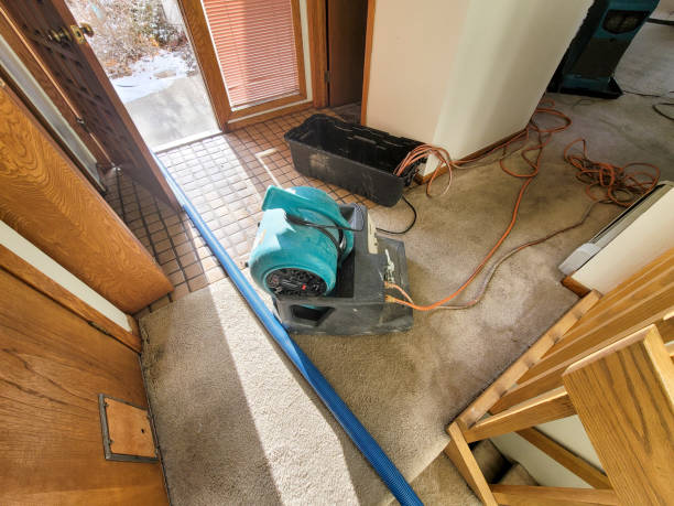 Best Sewage cleanup and water damage restoration  in Woodland, CA