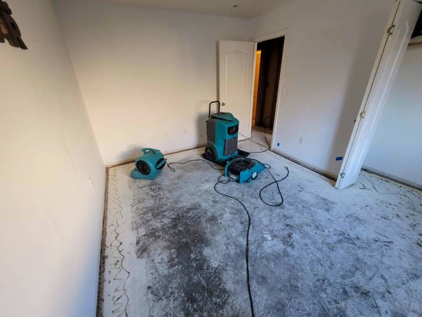 Best Emergency water damage restoration  in Woodland, CA