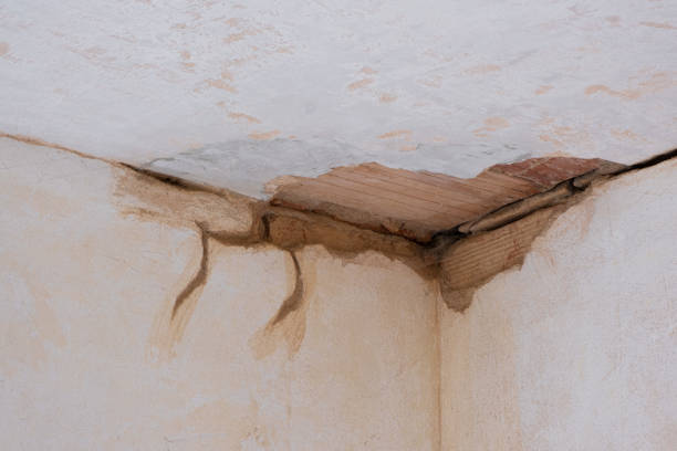 Best Flood restoration services  in Woodland, CA