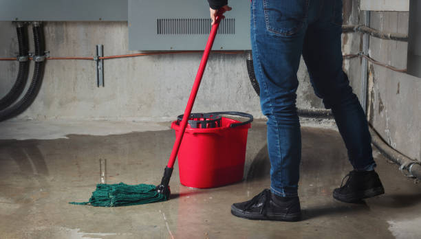 Best Flood damage cleanup  in Woodland, CA