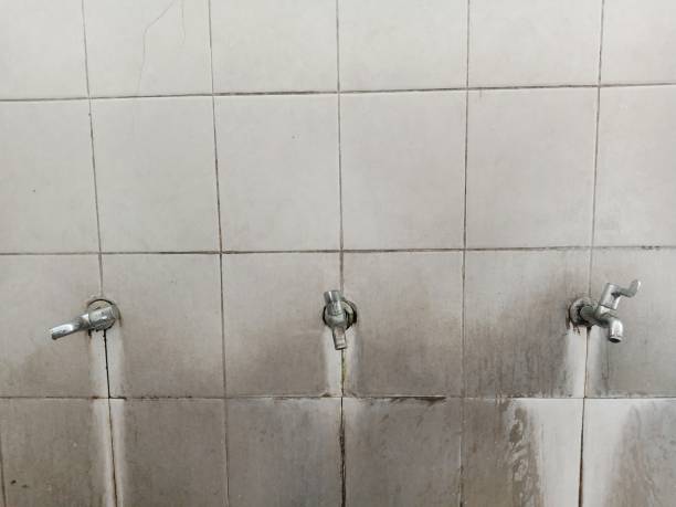 Best 24-hour water damage restoration  in Woodland, CA