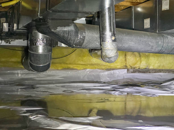 Best Flood damage cleanup  in Woodland, CA